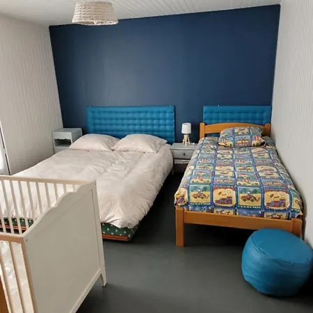 Au Cedre Bleu * Badefols-sur-Dordogne