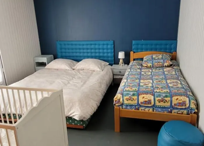 Au Cedre Bleu * Badefols-sur-Dordogne